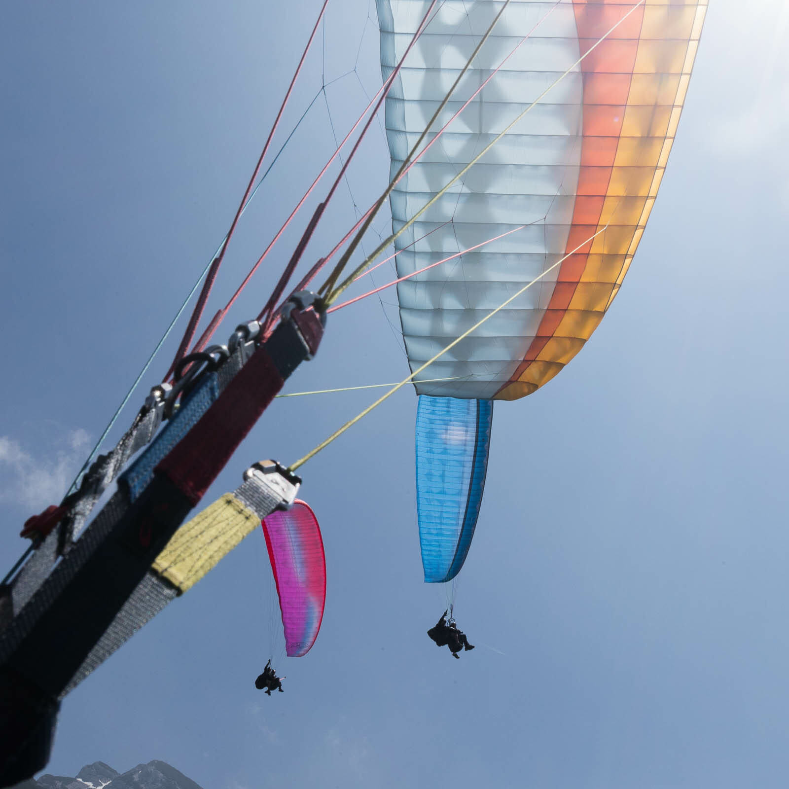 three paragliders