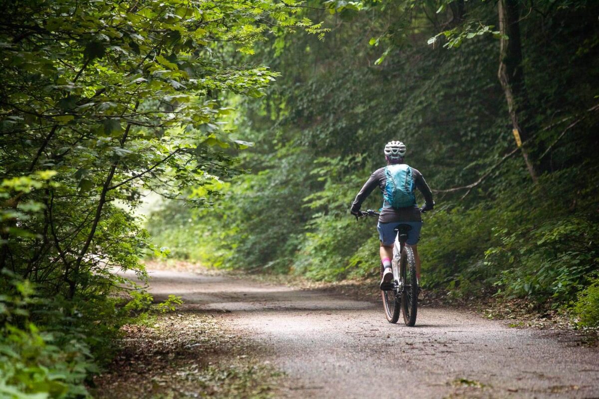 Salita in bici nel bosco